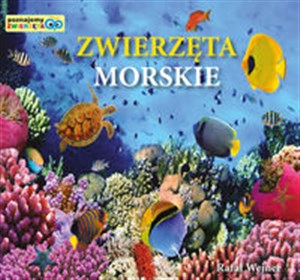 Picture of Zwierzęta morskie Poznajemy zwierzęta