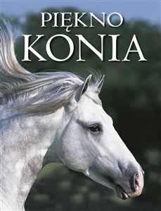 Picture of Piękno konia