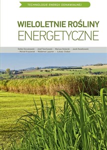 Obrazek Wieloletnie rośliny energetyczne