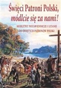 Polska książka : Święci pat... - Opracowanie Zbiorowe