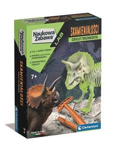 Picture of Skamieniałości Szkielet Triceratopsa 50860