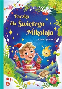 Picture of Paczka dla Świętego Mikołaja