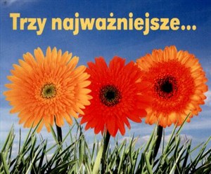 Obrazek Trzy najważniejsze. . . Perełki