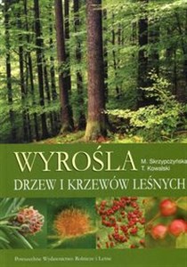 Picture of Wyrośla drzew i krzewów leśnych