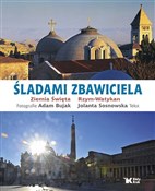 Polska książka : Śladami Zb... - Jolanta Sosnowska