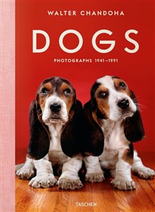 Picture of Walter Chandoha Dogs Photographs 1941-1991