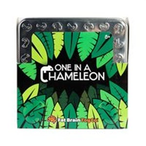 Picture of Kameleony Łamigłówka Magnetyczna