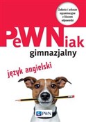 polish book : PeWNiak gi... - Anna Szafarz, Agnieszka Szurek