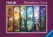 Książka : Puzzle 2D:...