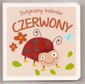 Dotykamy k... -  foreign books in polish 