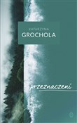 Przeznacze... - Katarzyna Grochola -  Polish Bookstore 
