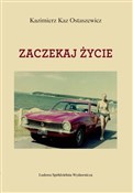Zobacz : Zaczekaj ż... - Kazimierz Kaz-Ostaszewicz