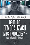 Drogi do d... - Krzysztof Zajdel, Lidia Wawryk -  Książka z wysyłką do UK