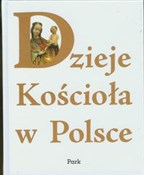Dzieje Koś... -  Polish Bookstore 
