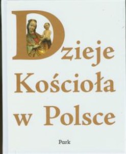 Obrazek Dzieje Kościoła w Polsce
