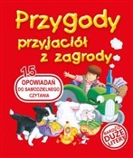 polish book : Przygody p... - Patrycja Zarawska