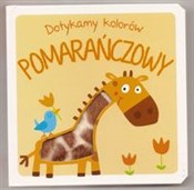 Dotykamy k... -  books in polish 