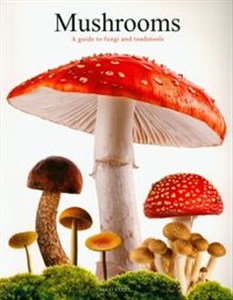 Picture of Mushrooms