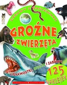 Zabawy z n... - Opracowanie Zbiorowe -  Polish Bookstore 