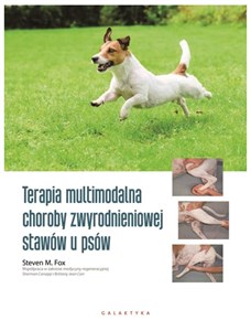 Obrazek Terapia multimodalna choroby zwyrodnieniowej stawów u psów