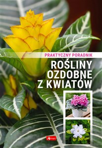 Picture of Rośliny ozdobne z kwiatów Poradnik praktyczny