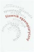 Słownik eg... - Mariusz Solecki -  Polish Bookstore 