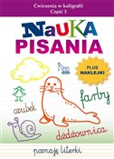 polish book : Nauka pisa... - Beata Guzowska