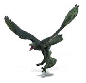 Obrazek Dinozaur Microraptor