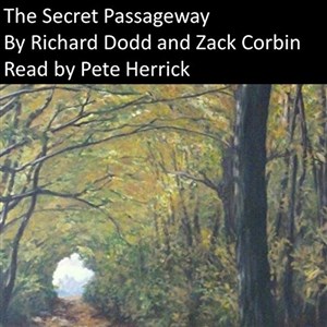 Picture of The Secret Passageway