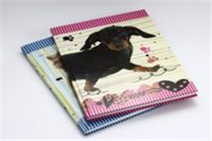 Obrazek Brulion A4 w kratkę 96 kartek mix