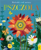 polish book : Pszczoła - Patricia Hegarty