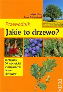 Obrazek Jakie to drzewo? Przewodnik