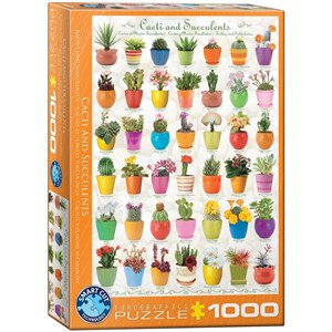 Obrazek Puzzle 1000 Kaktusy i sukulenty