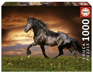 Picture of Puzzle 1000 Kłusujący koń