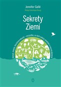 Sekrety Zi... - Jennifer Gallé -  foreign books in polish 