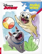 Disney Jun... -  books in polish 