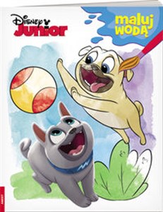 Picture of Disney Junior Maluj wodą MW-4