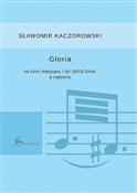 Gloria na ... - Sławomir Kaczorowski -  foreign books in polish 