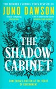 The Shadow... - Juno Dawson -  books from Poland