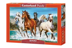 Picture of Puzzle Call of Nature 2000 C-200702