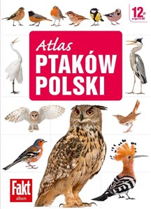 Obrazek Atlas ptaków Polski