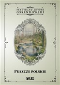 Puszcze po... - Ferdynand Antoni Ossendowski -  Polish Bookstore 