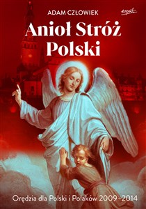 Obrazek Anioł Stróż Orędzia dla Polski i Polaków 2009-2014