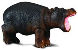 Picture of Hipopotam młody S