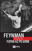 Feynman Fi... - Jörg Resag -  books from Poland