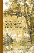 Chłopcy z ... - Ferenc Molnár -  Polish Bookstore 