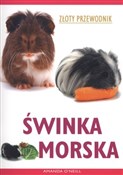 Świnka mor... - Amanda O`Neill -  books from Poland