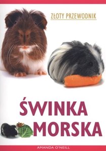 Picture of Świnka morska. Złoty przewodnik