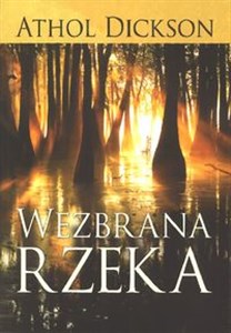 Obrazek Wezbrana Rzeka