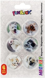 Picture of Magnesy szklane do tablic psy